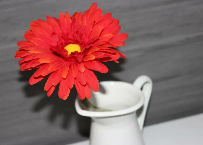 Alboi Loft Casa vacanze Aveiro